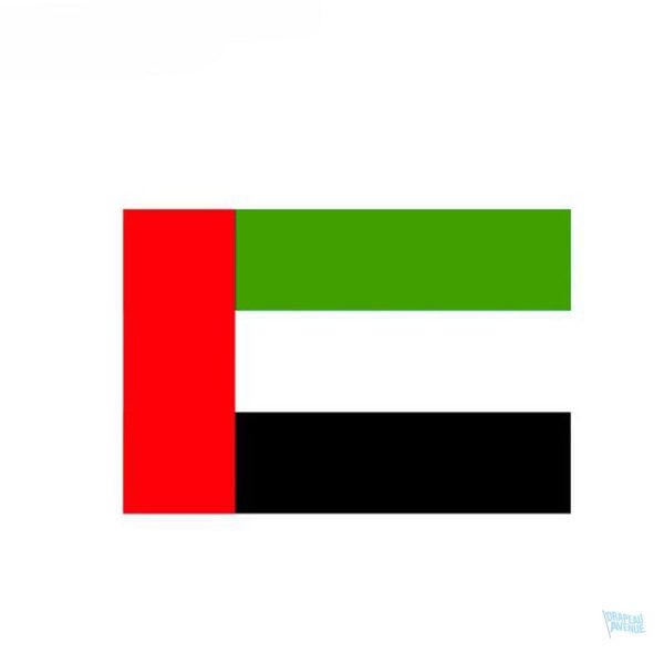 Autocollant drapeau des Emirats Arabes Unis sur fond coloré