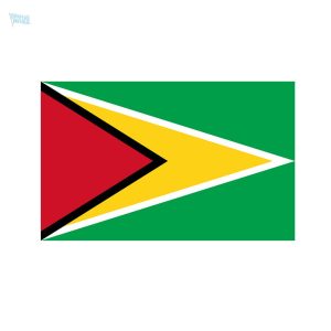 Autocollant drapeau du Guyana