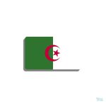 Broche drapeau Algérie en métal coloré