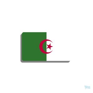 Broche drapeau Algérie en métal coloré