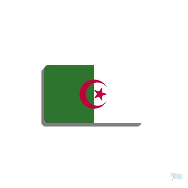 Broche drapeau Algérie en métal coloré