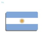Broche drapeau Argentine de style élégant et coloré