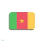 Broche drapeau Cameroun en métal émaillé