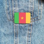 Bijou représentant le drapeau du Cameroun pour collectionneurs
