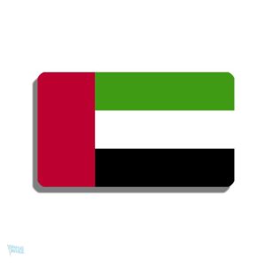 Broche drapeau des Emirats Arabes Unis