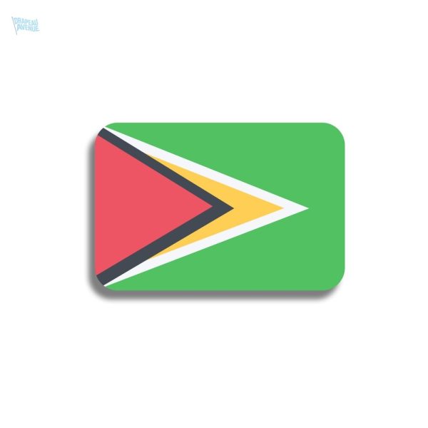 Broche drapeau Guyana en métal coloré