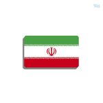 Broche drapeau Iran en métal émaillé
