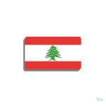 Broche drapeau Liban en métal élégant
