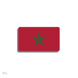 Broche drapeau Maroc en métal avec design détaillé