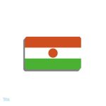 Broche drapeau Niger en métal élégant
