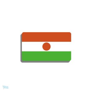 Broche drapeau Niger en métal élégant
