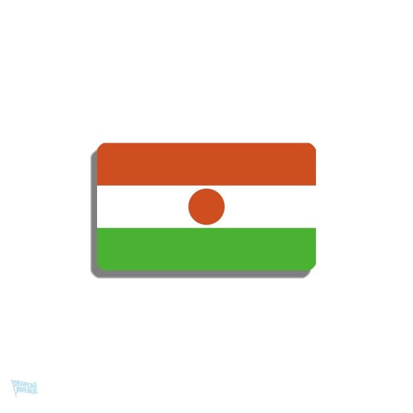 Broche drapeau Niger en métal élégant