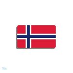 Broche drapeau Norvège en métal émaillé