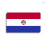 Broche drapeau Paraguay, accessoire pour les fans
