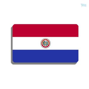 Broche drapeau Paraguay, accessoire pour les fans
