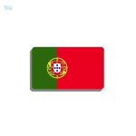 Broche drapeau Portugal en métal émaillé, symbole national