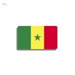 Broche drapeau Sénégal design élégant et coloré