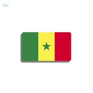 Broche drapeau Sénégal design élégant et coloré
