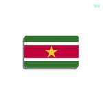 Broche drapeau Suriname en métal émaillé