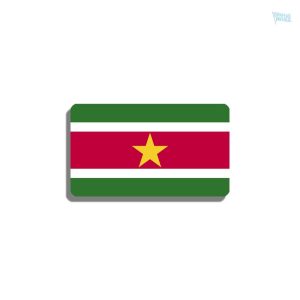 Broche drapeau Suriname en métal émaillé