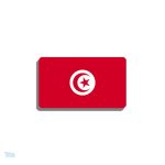 Broche drapeau Tunisie en métal émaillé