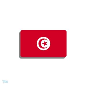 Broche drapeau Tunisie en métal émaillé