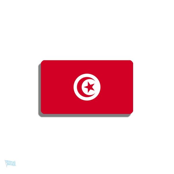 Broche drapeau Tunisie en métal émaillé