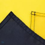 Drapeau est-allemand aux couleurs traditionnelles