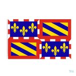 Drapeau de la Bourgogne en tissu aux couleurs emblématiques