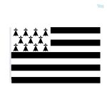 Drapeau Bretagne avec fourreau pour affichage extérieur