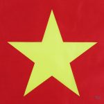 Drapeau national du Cameroun, tissu durable