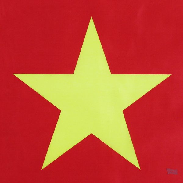 Drapeau national du Cameroun, tissu durable