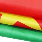 Drapeau Cameroun, affichage vibrant et coloré