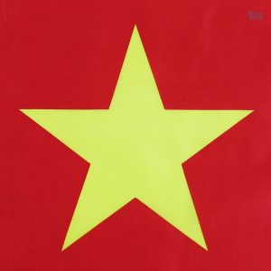 Drapeau camerounais de grande taille, idéal pour événements sportifs