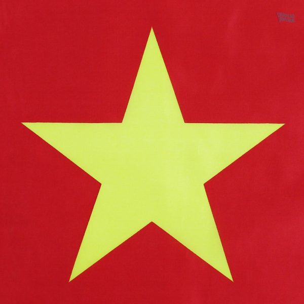 Drapeau camerounais de grande taille, idéal pour événements sportifs