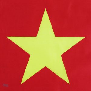 Drapeau Cameroun, dimensions 60 x 90 cm, parfait pour événements