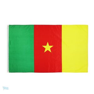 Drapeau du Cameroun 90 x 150 cm, couleur vibrante