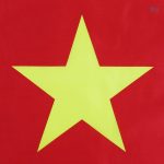 Drapeau Cameroun aux couleurs nationales 90 x 150 cm