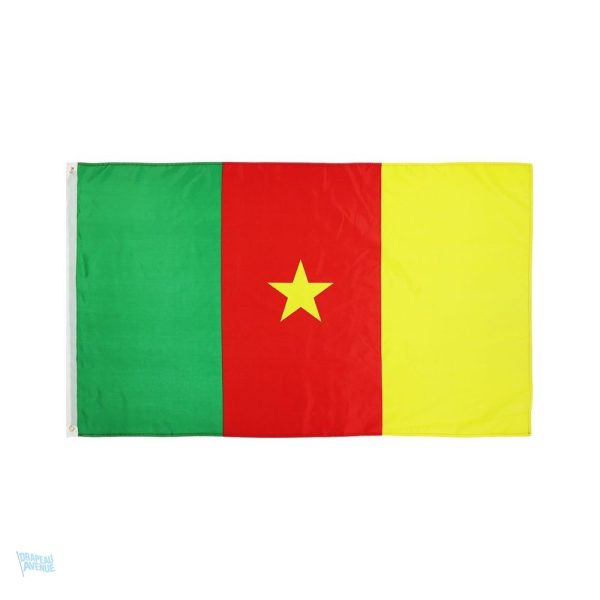 Drapeau Cameroun extérieur pour affichage en extérieur