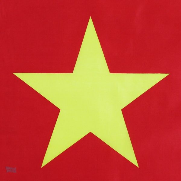 Drapeau Cameroun pour célébrations et manifestations