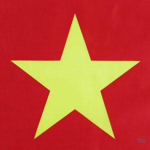 Drapeau Cameroun géant, accessoire patriotique