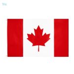 Drapeau du Canada 60 x 90 cm en polyester durable