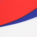 Drapeau de la Corée du Sud, symbole de l'unité nationale