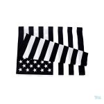 Drapeau national américain design moderne