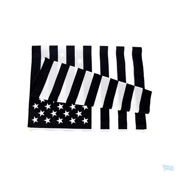 Drapeau national américain design moderne