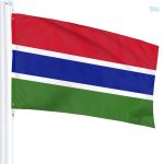 Drapeau Gambie de qualité supérieure pour événements et décorations