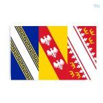 Drapeau Grand Est en grande taille