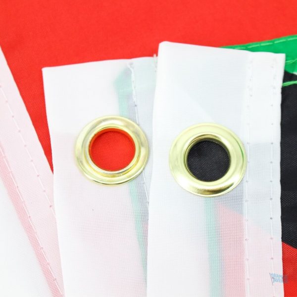 Drapeau de Guyana, design avec étoiles et couleurs vives
