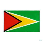 Drapeau Guyana 60 x 90 cm en tissu polyester