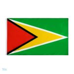 Drapeau Guyana 90 x 150 cm, design coloré et distinctif